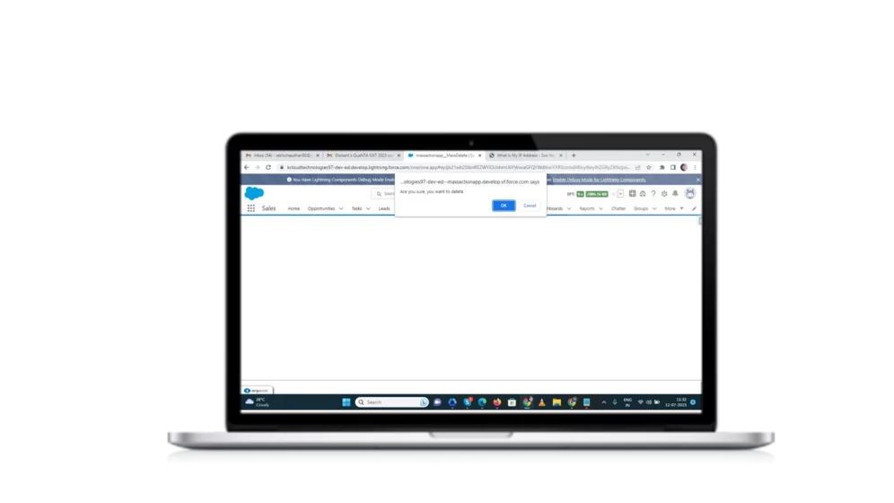 Front Page 15 Salesforce mass delete